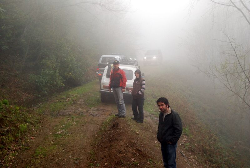 bircankarapÃƒÂƒÃ‚ÂƒÃƒÂ‚Ã‚Â¼rÃƒÂƒÃ‚ÂƒÃƒÂ‚Ã‚Â§ekgeyve (48).jpg