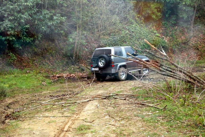 bircankarapÃƒÂƒÃ‚ÂƒÃƒÂ‚Ã‚Â¼rÃƒÂƒÃ‚ÂƒÃƒÂ‚Ã‚Â§ekgeyve (49).jpg