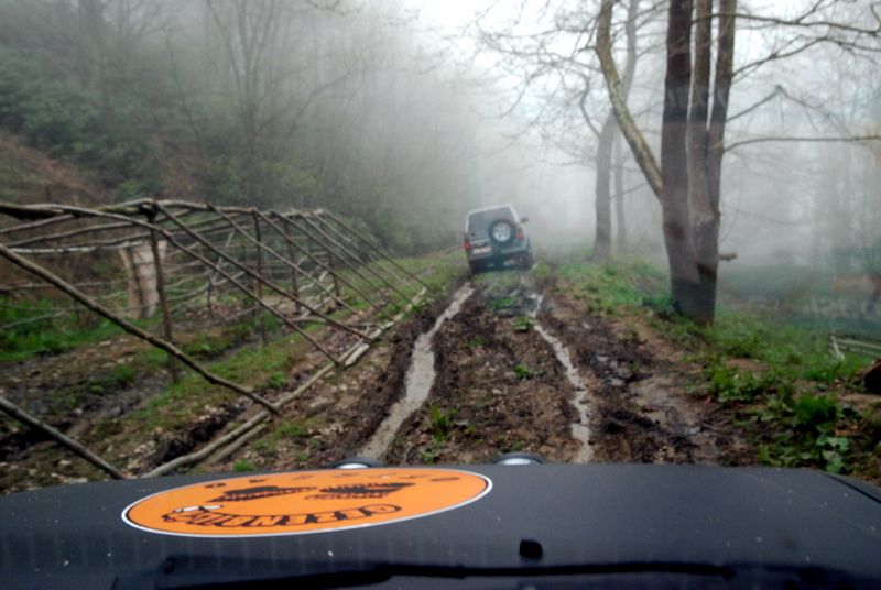 bircankarapÃƒÂƒÃ‚ÂƒÃƒÂ‚Ã‚Â¼rÃƒÂƒÃ‚ÂƒÃƒÂ‚Ã‚Â§ekgeyve (51).jpg