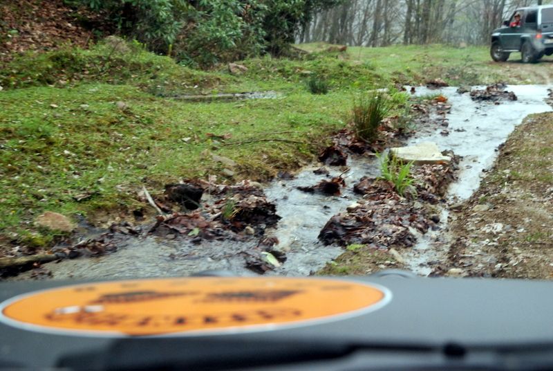 bircankarapÃƒÂƒÃ‚ÂƒÃƒÂ‚Ã‚Â¼rÃƒÂƒÃ‚ÂƒÃƒÂ‚Ã‚Â§ekgeyve (52).jpg