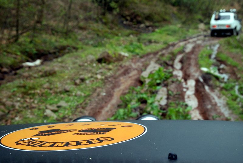 bircankarapÃƒÂƒÃ‚ÂƒÃƒÂ‚Ã‚Â¼rÃƒÂƒÃ‚ÂƒÃƒÂ‚Ã‚Â§ekgeyve (56).jpg