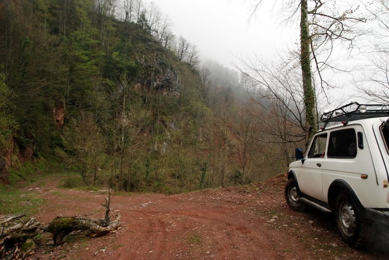 bircankarapÃƒÂƒÃ‚ÂƒÃƒÂ‚Ã‚Â¼rÃƒÂƒÃ‚ÂƒÃƒÂ‚Ã‚Â§ekgeyve (57).jpg