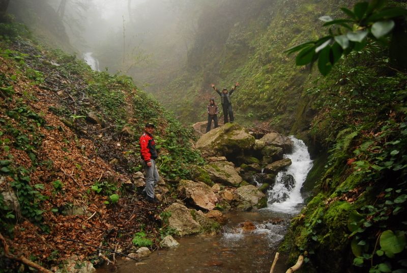 bircankarapÃƒÂƒÃ‚ÂƒÃƒÂ‚Ã‚Â¼rÃƒÂƒÃ‚ÂƒÃƒÂ‚Ã‚Â§ekgeyve (60).jpg