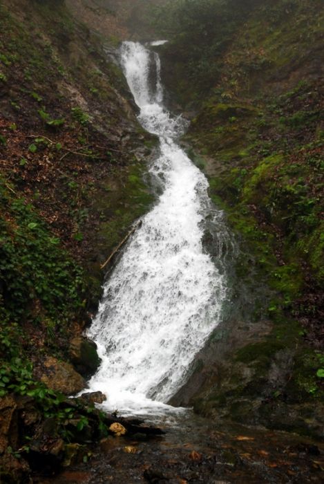 bircankarapÃƒÂƒÃ‚ÂƒÃƒÂ‚Ã‚Â¼rÃƒÂƒÃ‚ÂƒÃƒÂ‚Ã‚Â§ekgeyve (61).jpg