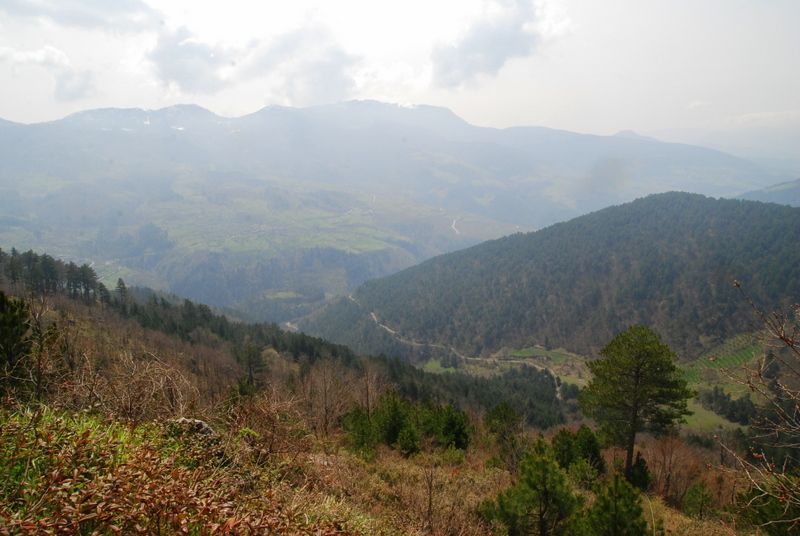 bircankarapÃƒÂƒÃ‚ÂƒÃƒÂ‚Ã‚Â¼rÃƒÂƒÃ‚ÂƒÃƒÂ‚Ã‚Â§ekgeyve (70).jpg