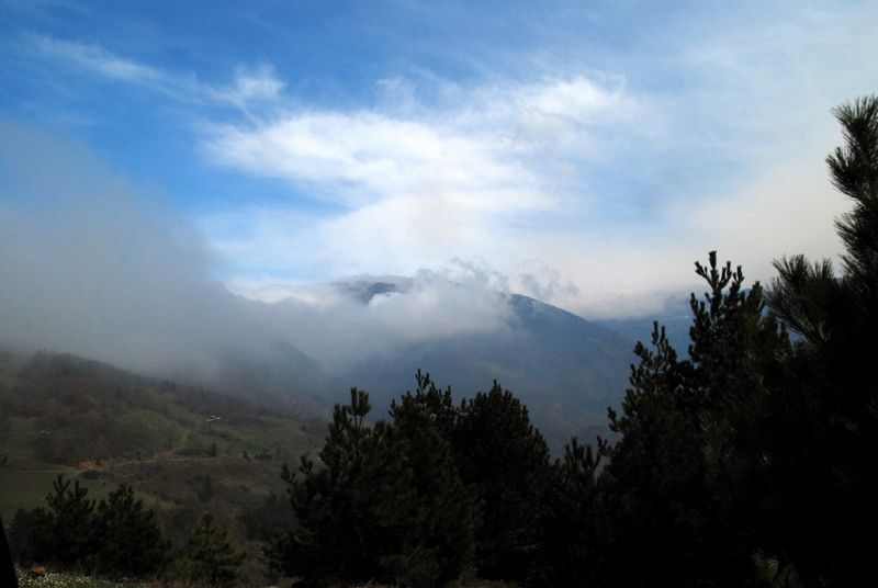 bircankarapÃƒÂƒÃ‚ÂƒÃƒÂ‚Ã‚Â¼rÃƒÂƒÃ‚ÂƒÃƒÂ‚Ã‚Â§ekgeyve (72).jpg