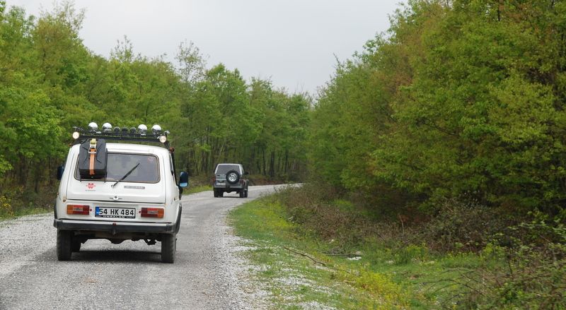 bircankarapÃƒÂƒÃ‚ÂƒÃƒÂ‚Ã‚Â¼rÃƒÂƒÃ‚ÂƒÃƒÂ‚Ã‚Â§ekgeyve (8).jpg