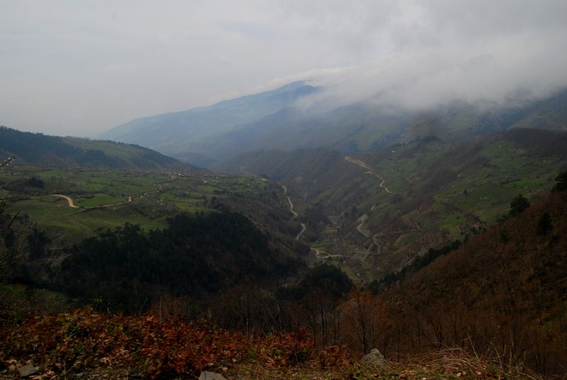 bircankarapÃƒÂƒÃ‚ÂƒÃƒÂ‚Ã‚Â¼rÃƒÂƒÃ‚ÂƒÃƒÂ‚Ã‚Â§ekgeyve (82).jpg
