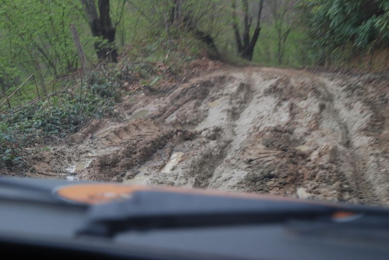 bircankarapÃƒÂƒÃ‚ÂƒÃƒÂ‚Ã‚Â¼rÃƒÂƒÃ‚ÂƒÃƒÂ‚Ã‚Â§ekgeyve (9).jpg