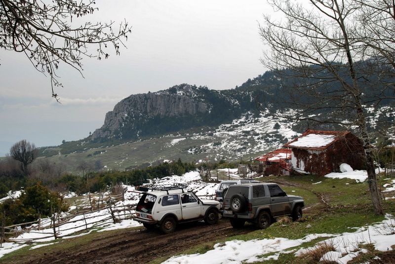 bircankarapÃƒÂƒÃ‚ÂƒÃƒÂ‚Ã‚Â¼rÃƒÂƒÃ‚ÂƒÃƒÂ‚Ã‚Â§ekgeyve (92).jpg