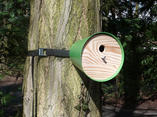 birdhouse001.jpg