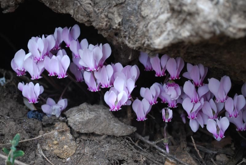 biz saklandÃƒÂƒÃ‚Â„ÃƒÂ‚Ã‚Â±k ki kiii kiii_800x536.jpg