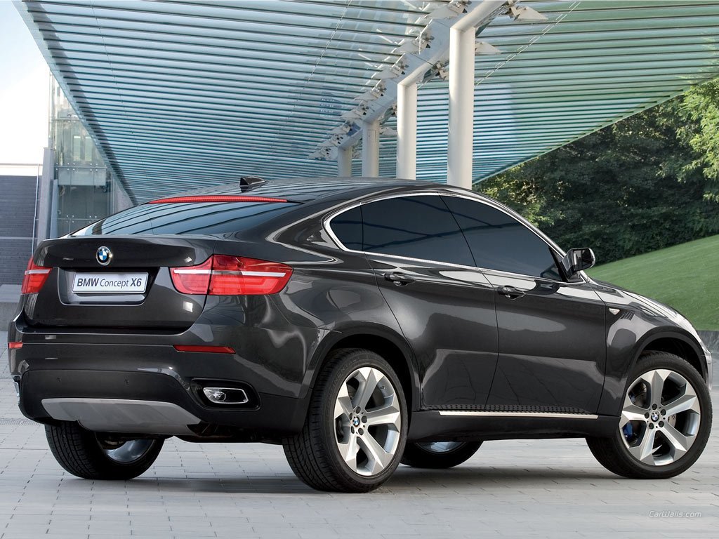 bmw-x61.jpg