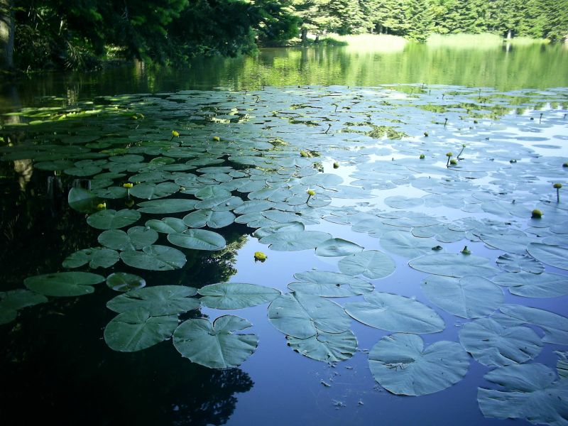 BOLU-GÃƒÂƒÃ‚ÂƒÃƒÂ‚Ã‚Â–LCÃƒÂƒÃ‚ÂƒÃƒÂ‚Ã‚Âœ38.jpg