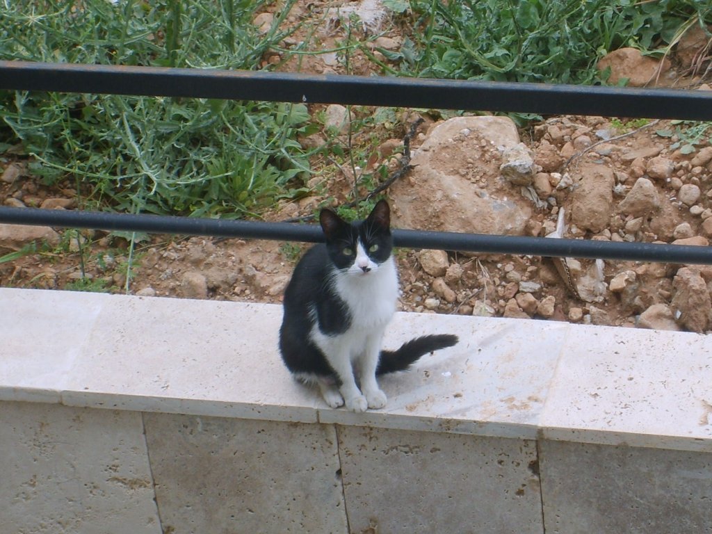 Boncuk Tablo.JPG