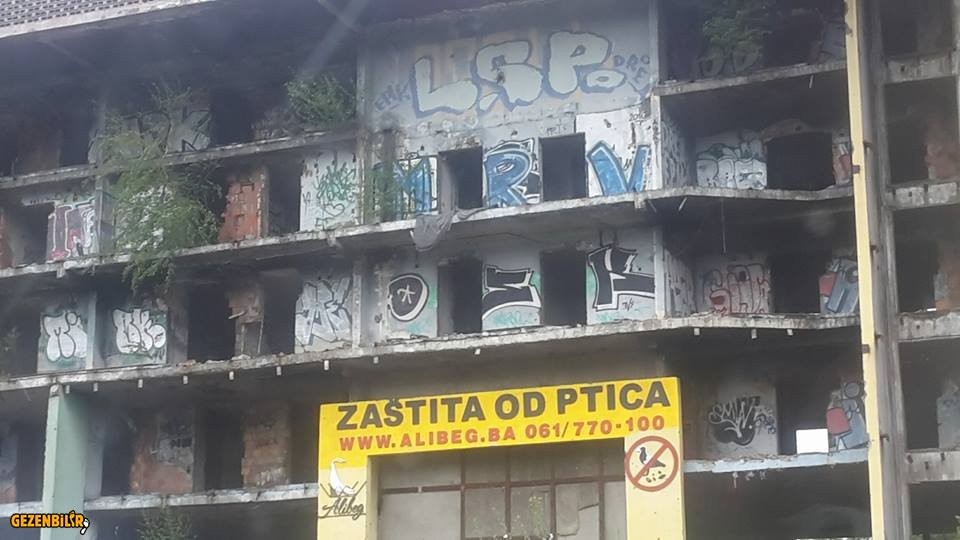 bos8.jpg