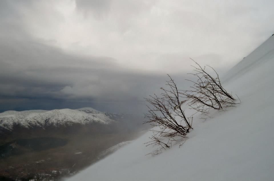 BozdaÃƒÂƒÃ‚Â„ÃƒÂ‚Ã‚ÂŸ ÃƒÂƒÃ‚ÂƒÃƒÂ‚Ã‚Â‡ÃƒÂƒÃ‚Â„ÃƒÂ‚Ã‚Â±ÃƒÂƒÃ‚Â„ÃƒÂ‚Ã‚ÂŸ 026.jpg