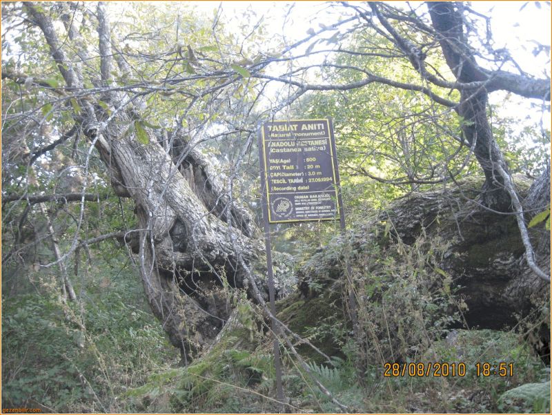 BozdaÃƒÂƒÃ‚Â„ÃƒÂ‚Ã‚ÂŸ - GÃƒÂƒÃ‚ÂƒÃƒÂ‚Ã‚Â¶lcÃƒÂƒÃ‚ÂƒÃƒÂ‚Ã‚Â¼k 2010 021.jpg