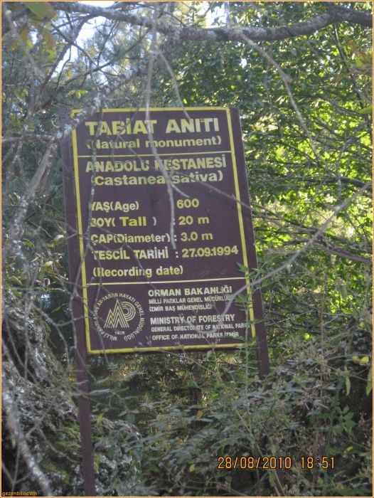 BozdaÃƒÂƒÃ‚Â„ÃƒÂ‚Ã‚ÂŸ - GÃƒÂƒÃ‚ÂƒÃƒÂ‚Ã‚Â¶lcÃƒÂƒÃ‚ÂƒÃƒÂ‚Ã‚Â¼k 2010 022.jpg