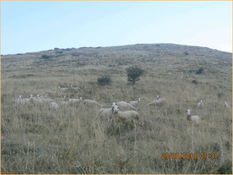 BozdaÃƒÂƒÃ‚Â„ÃƒÂ‚Ã‚ÂŸ - GÃƒÂƒÃ‚ÂƒÃƒÂ‚Ã‚Â¶lcÃƒÂƒÃ‚ÂƒÃƒÂ‚Ã‚Â¼k 2010 037.jpg