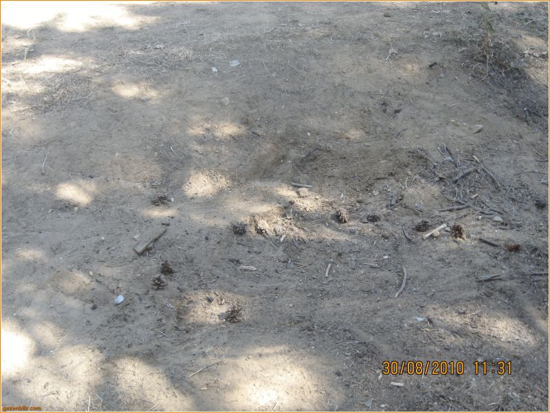 BozdaÃƒÂƒÃ‚Â„ÃƒÂ‚Ã‚ÂŸ - GÃƒÂƒÃ‚ÂƒÃƒÂ‚Ã‚Â¶lcÃƒÂƒÃ‚ÂƒÃƒÂ‚Ã‚Â¼k 2010 074.jpg