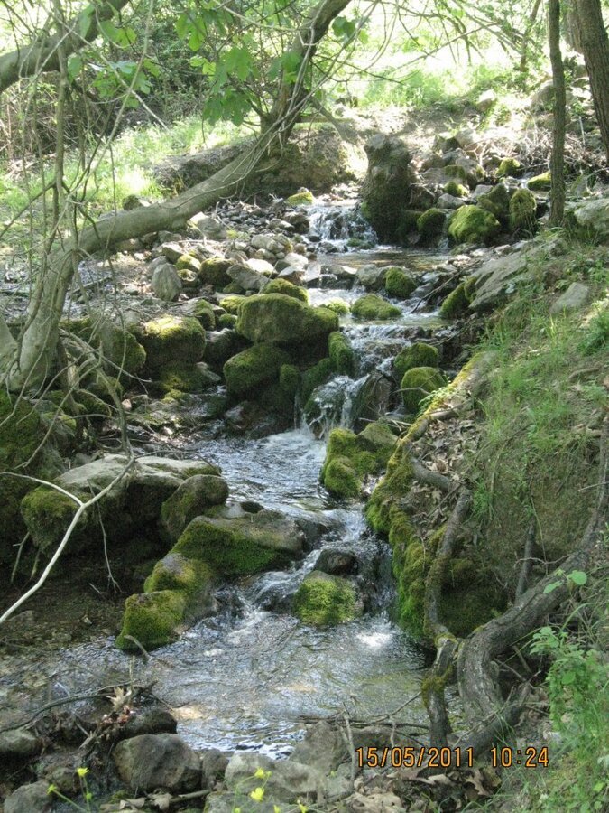 Buca - Kaynaklar GÃƒÂƒÃ‚ÂƒÃƒÂ‚Ã‚Â¼rlek - Nif 15 MayÃƒÂƒÃ‚Â„ÃƒÂ‚Ã‚Â±s 2011 001.jpg