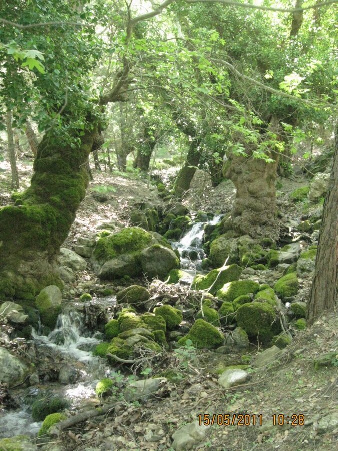 Buca - Kaynaklar GÃƒÂƒÃ‚ÂƒÃƒÂ‚Ã‚Â¼rlek - Nif 15 MayÃƒÂƒÃ‚Â„ÃƒÂ‚Ã‚Â±s 2011 003.jpg