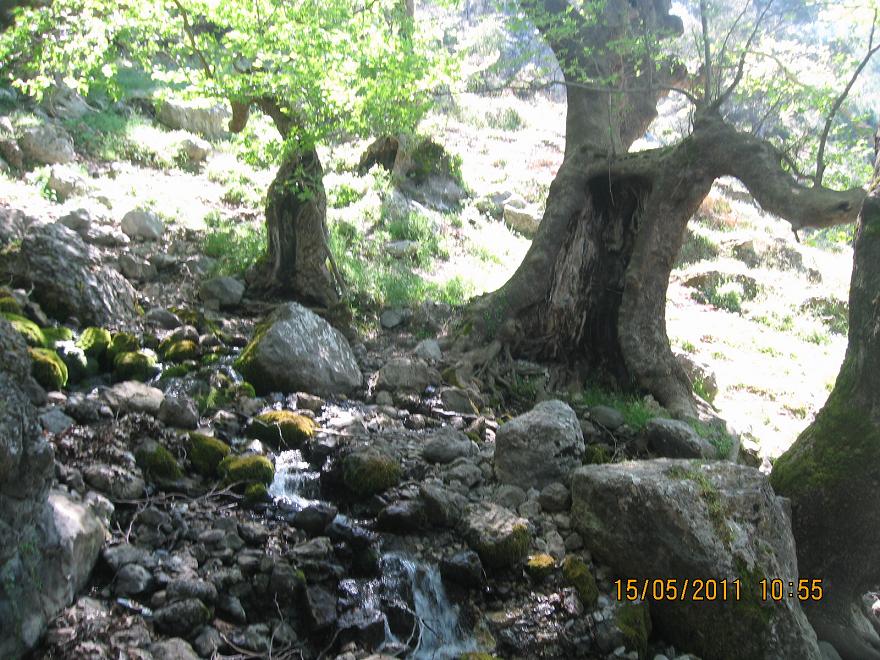 Buca - Kaynaklar GÃƒÂƒÃ‚ÂƒÃƒÂ‚Ã‚Â¼rlek - Nif 15 MayÃƒÂƒÃ‚Â„ÃƒÂ‚Ã‚Â±s 2011 005.jpg