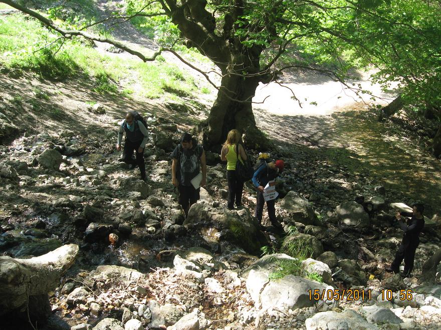 Buca - Kaynaklar GÃƒÂƒÃ‚ÂƒÃƒÂ‚Ã‚Â¼rlek - Nif 15 MayÃƒÂƒÃ‚Â„ÃƒÂ‚Ã‚Â±s 2011 006.jpg