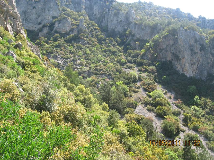 Buca - Kaynaklar GÃƒÂƒÃ‚ÂƒÃƒÂ‚Ã‚Â¼rlek - Nif 15 MayÃƒÂƒÃ‚Â„ÃƒÂ‚Ã‚Â±s 2011 011.jpg