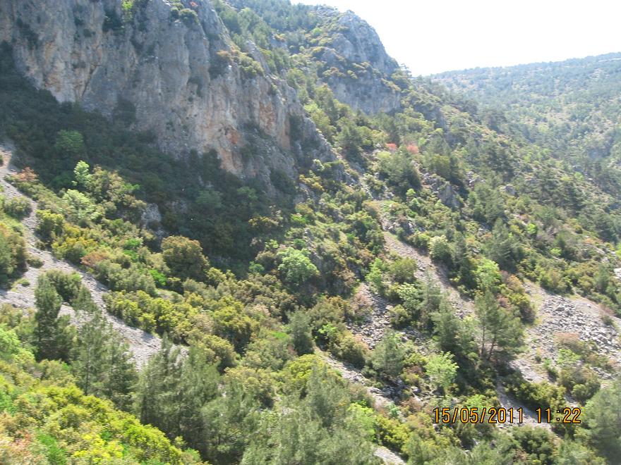 Buca - Kaynaklar GÃƒÂƒÃ‚ÂƒÃƒÂ‚Ã‚Â¼rlek - Nif 15 MayÃƒÂƒÃ‚Â„ÃƒÂ‚Ã‚Â±s 2011 012.jpg