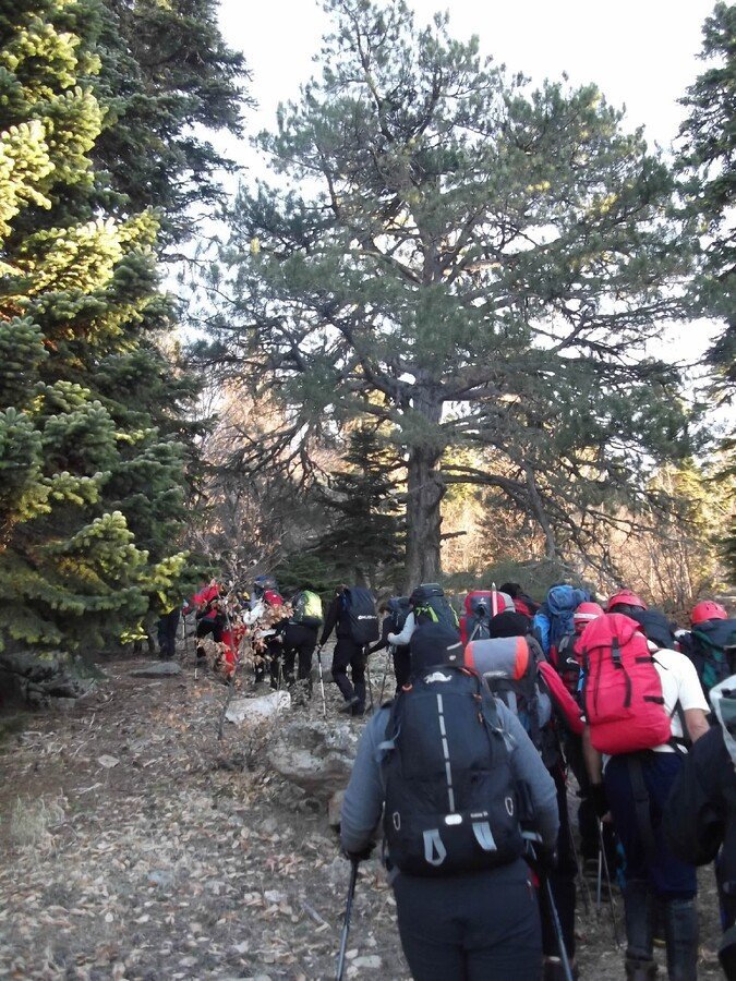 Budak - LOÃƒÂƒÃ‚ÂƒÃƒÂ‚Ã‚Â‡ 2011 00128.jpg