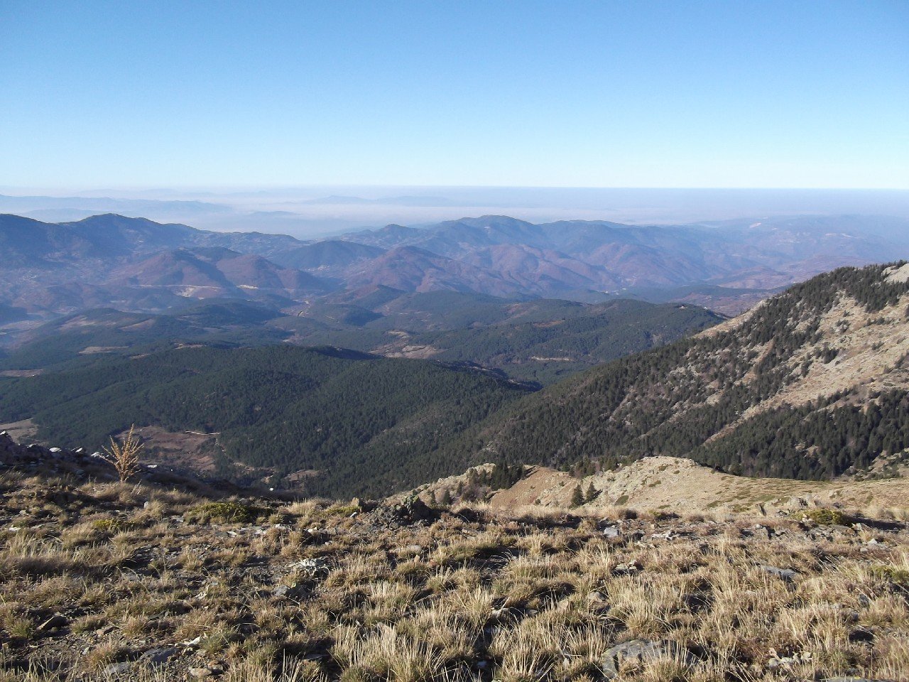 Budak - LOÃƒÂƒÃ‚ÂƒÃƒÂ‚Ã‚Â‡ 2011 00142.jpg