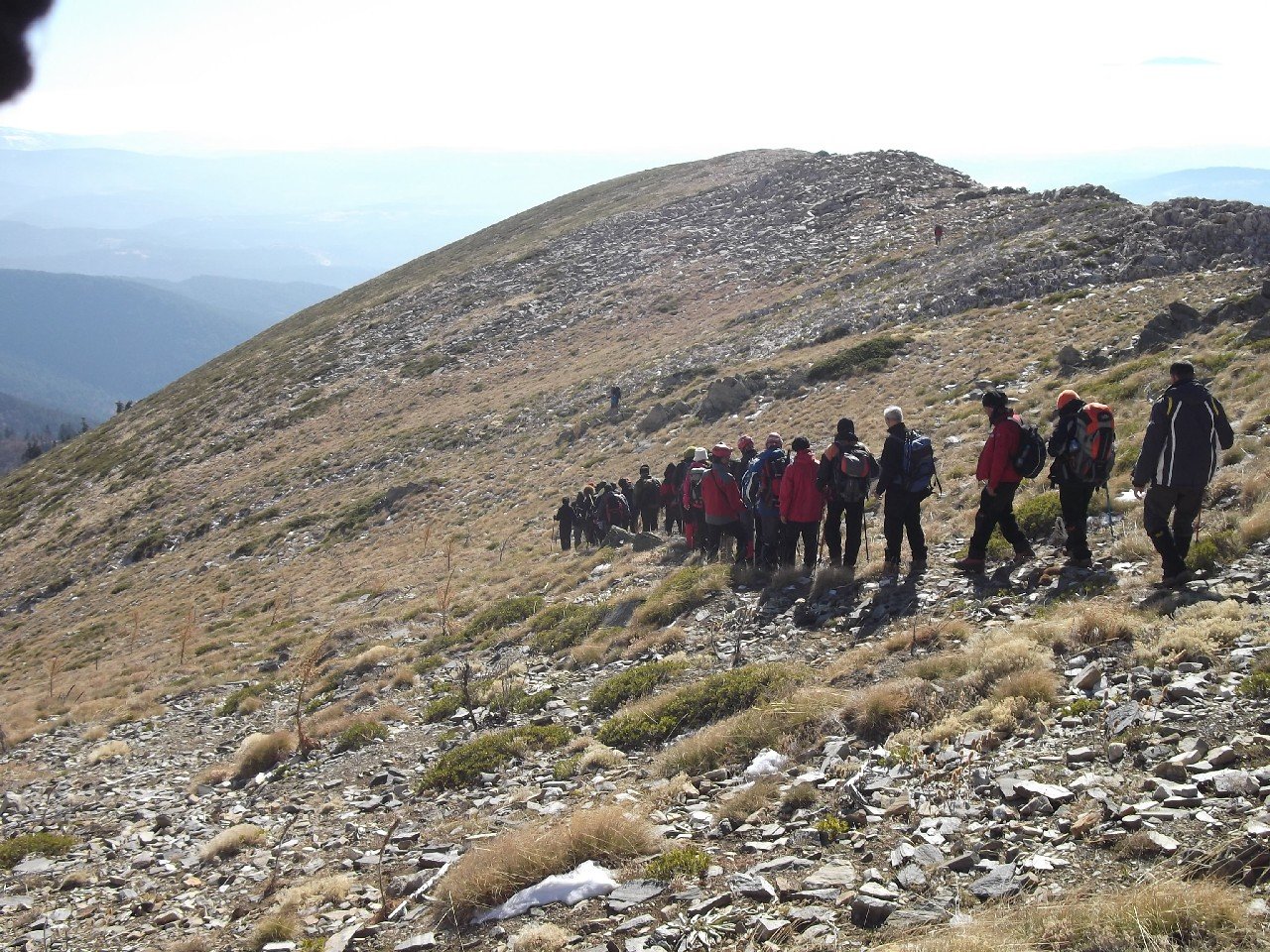 Budak - LOÃƒÂƒÃ‚ÂƒÃƒÂ‚Ã‚Â‡ 2011 00196.jpg