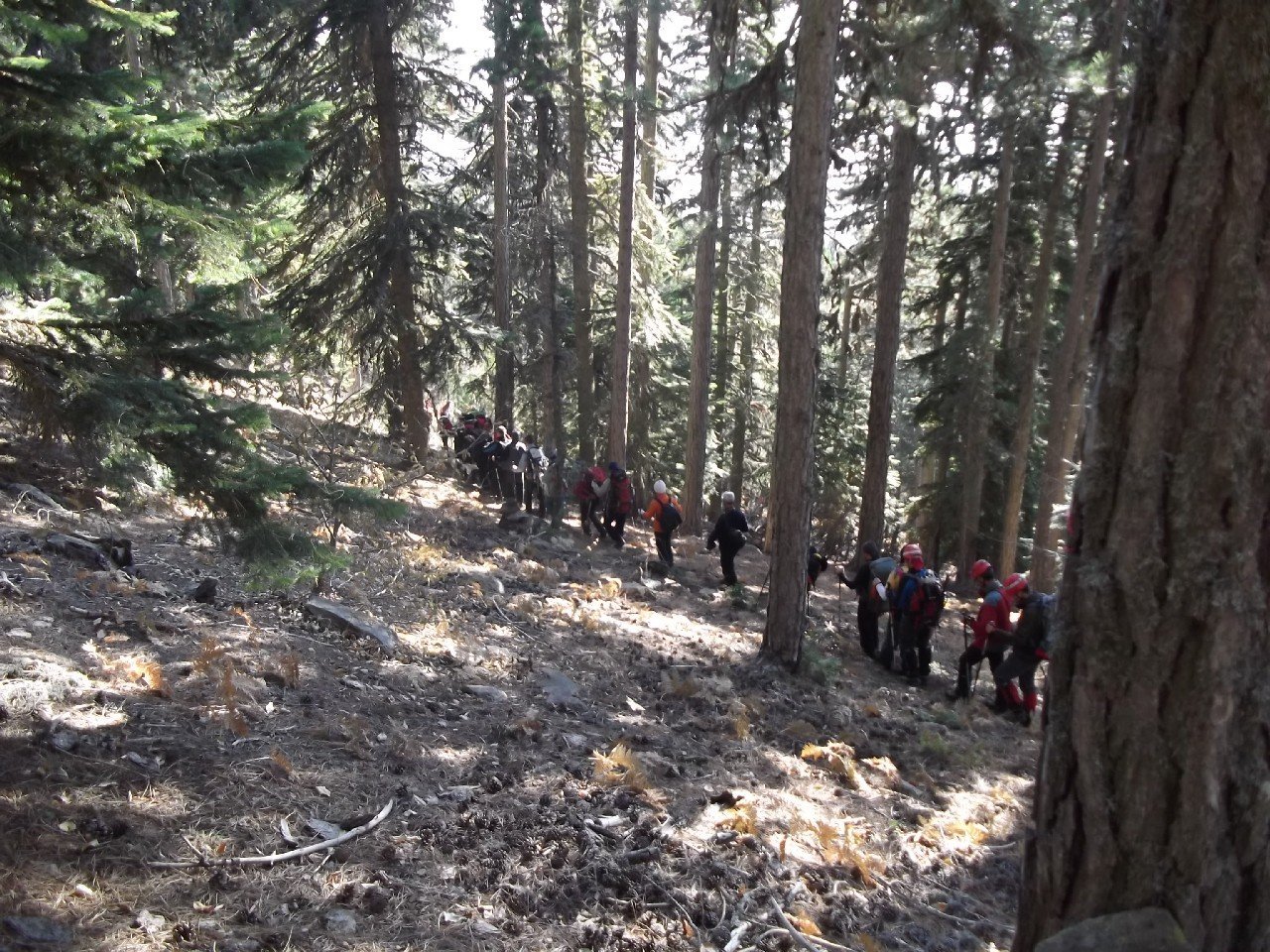 Budak - LOÃƒÂƒÃ‚ÂƒÃƒÂ‚Ã‚Â‡ 2011 00201.jpg