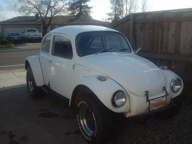 Bug008.jpg