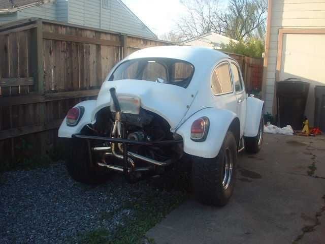 Bug009.jpg