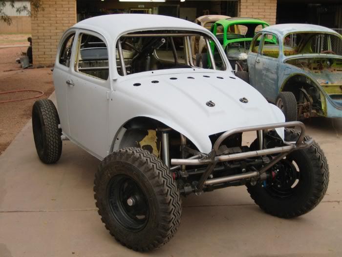 bug_baja.jpg