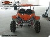 buggy6.jpg