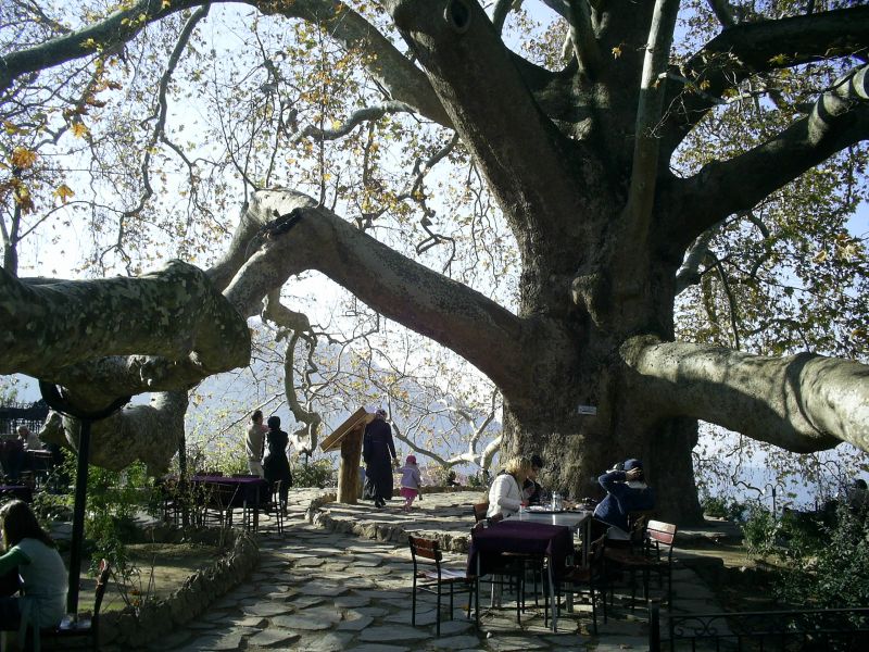 BURSA 2009024.jpg