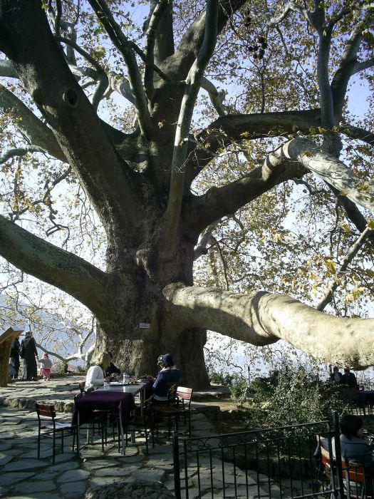 BURSA 2009026.jpg