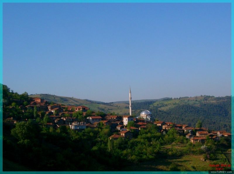 burunca5.jpg