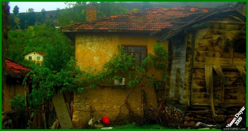 burunca7.jpg