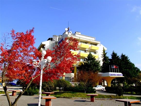 c12.jpg