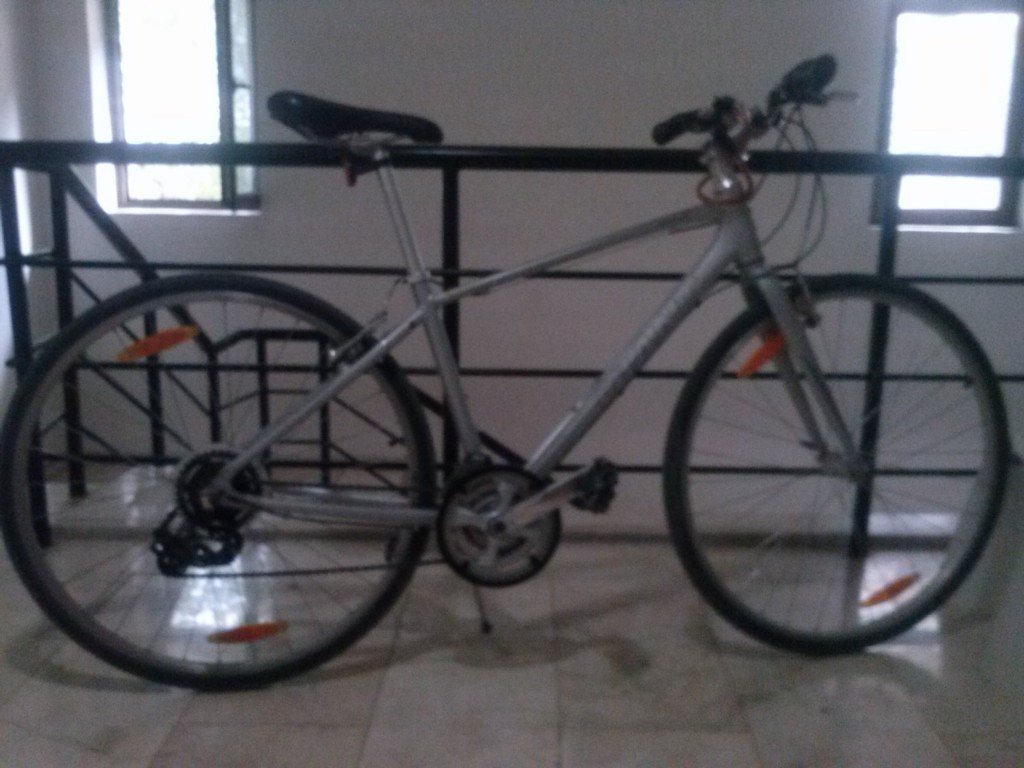CAM00403.jpg