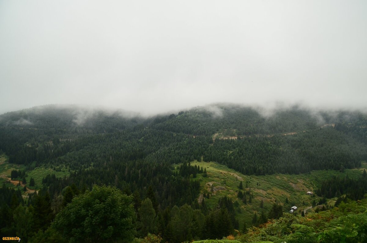 Çambaşı.JPG