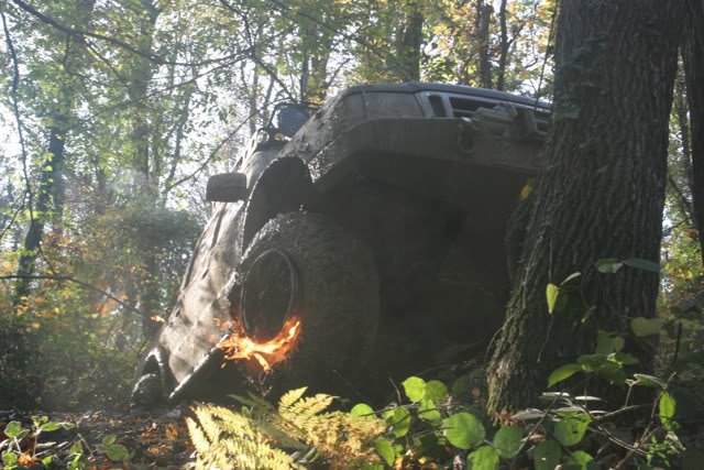 camel155.jpg
