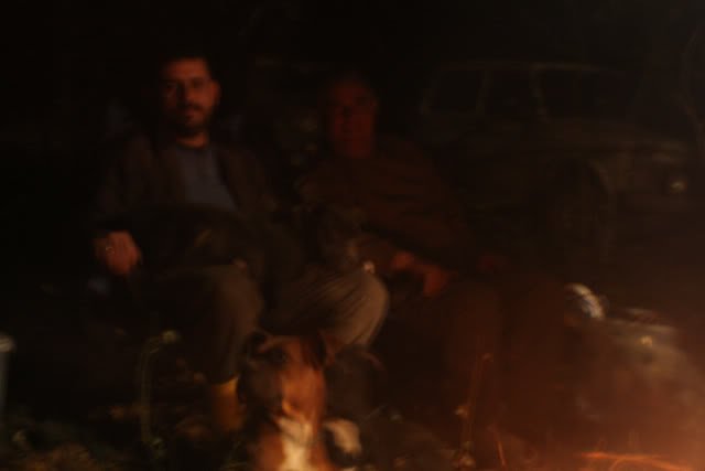 camel200.jpg