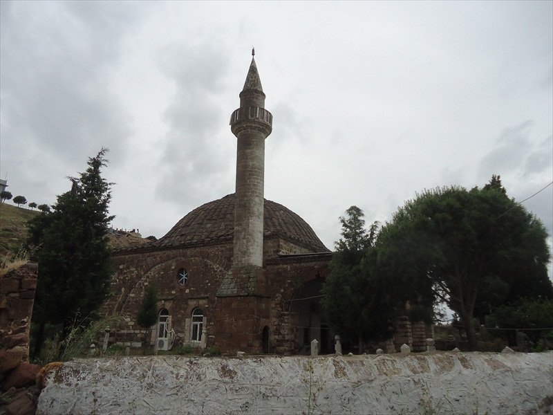 cami.jpg