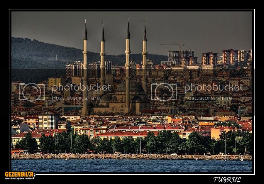 Cami.jpg